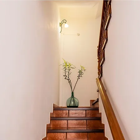 Live Buenavista Terrace