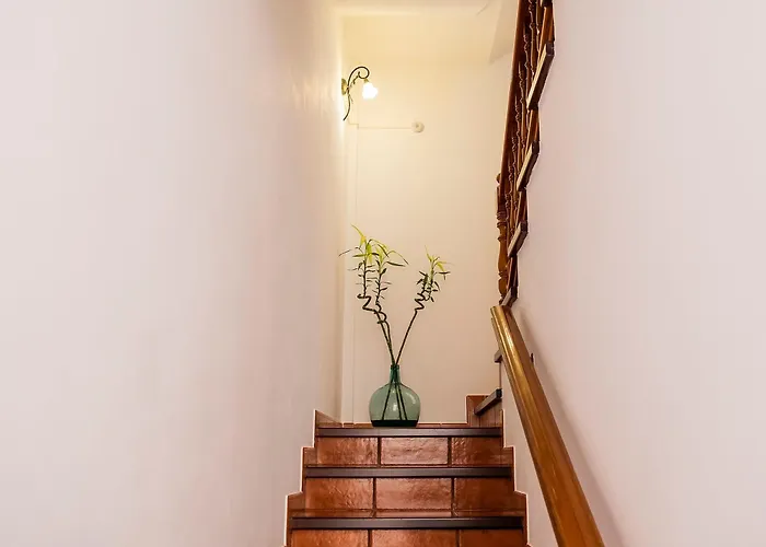 Live Buenavista Terrace