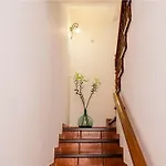 Live Buenavista Terrace